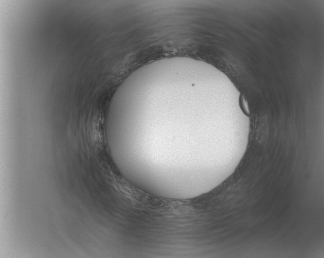 X0000054430770200508192123