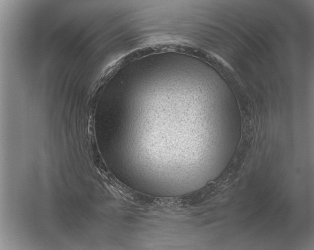 X0000054430775200508192122