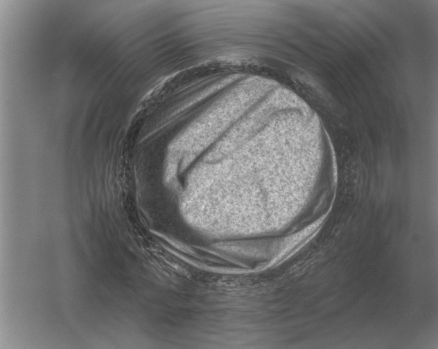 X0000054430776200508192122