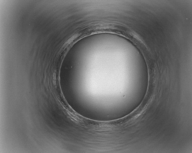 X0000054430777200508192122