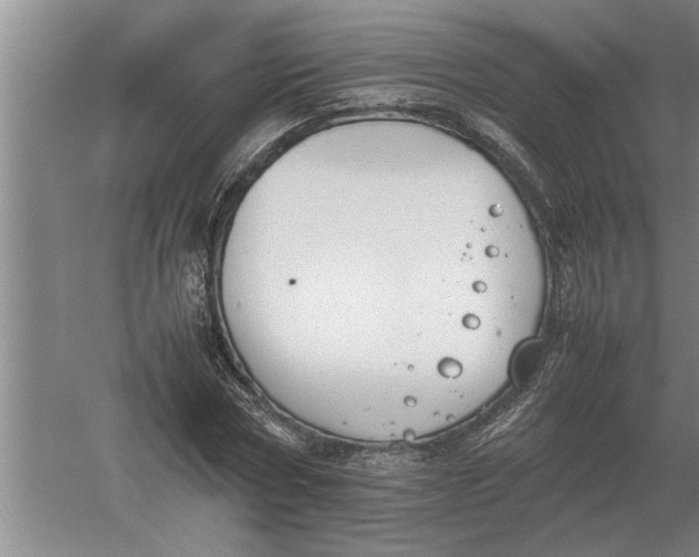 X0000054430778200508192122