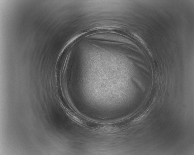 X0000054430779200508192122