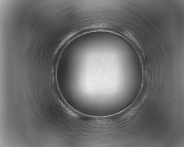 X0000054430781200508192122