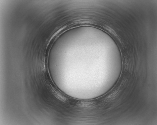 X0000054430782200508192122