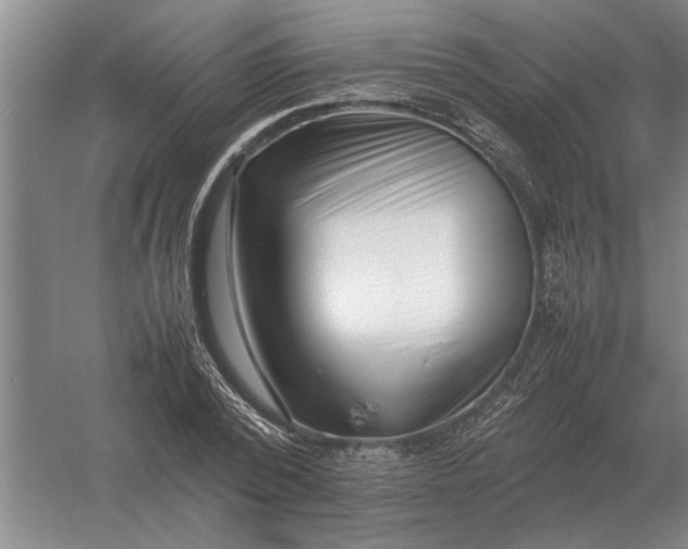 X0000054430784200508192122