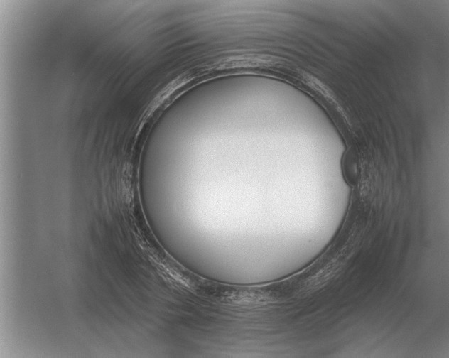 X0000054430786200508192122