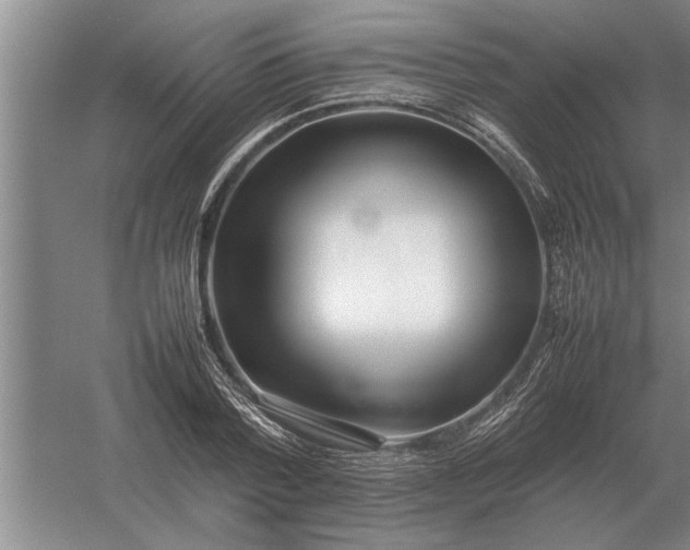 X0000054430788200508192122