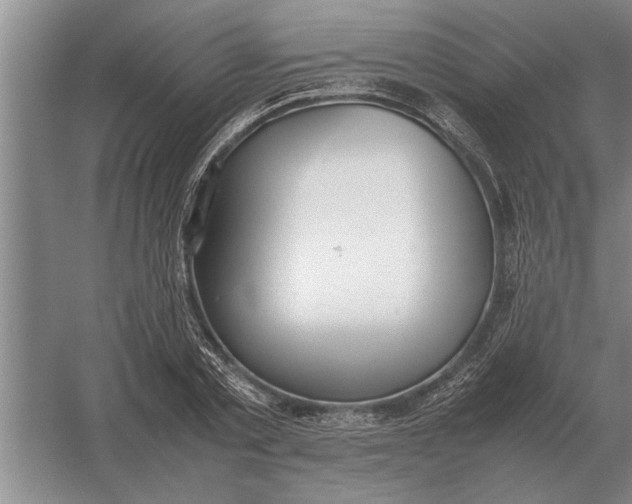 X0000054430789200508192122