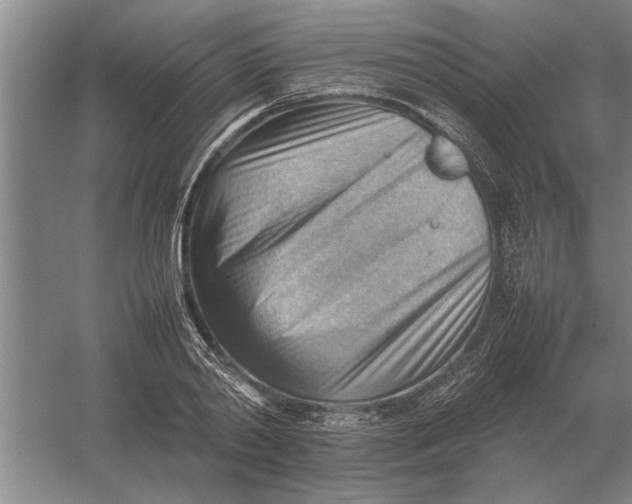 X0000054430790200508192122