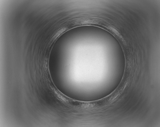 X0000054430793200508192122