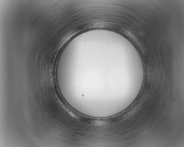 X0000054430794200508192122