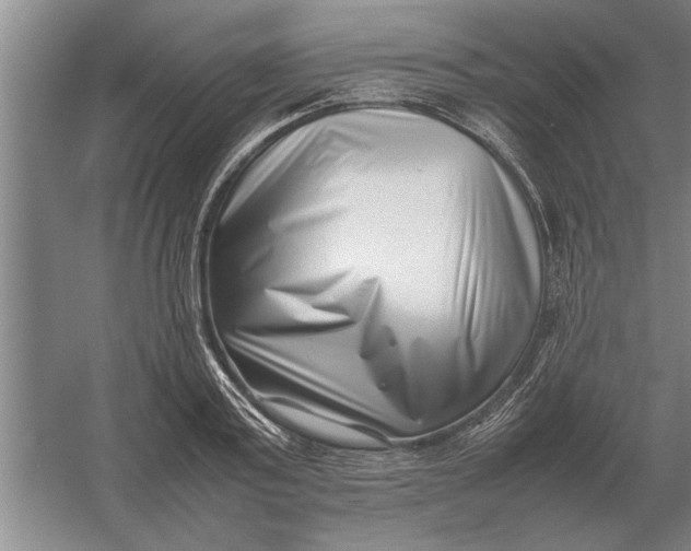 X0000054430795200508192122