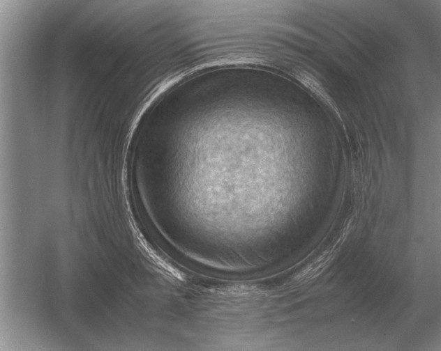 X0000054430797200508192122