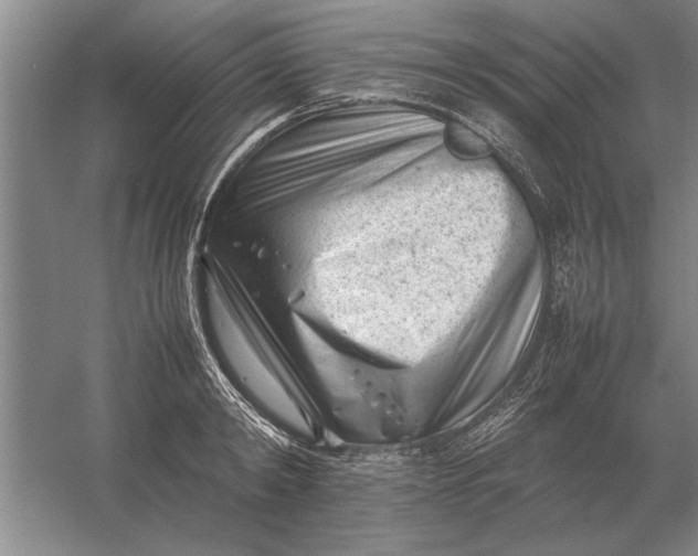 X0000054430798200508192122