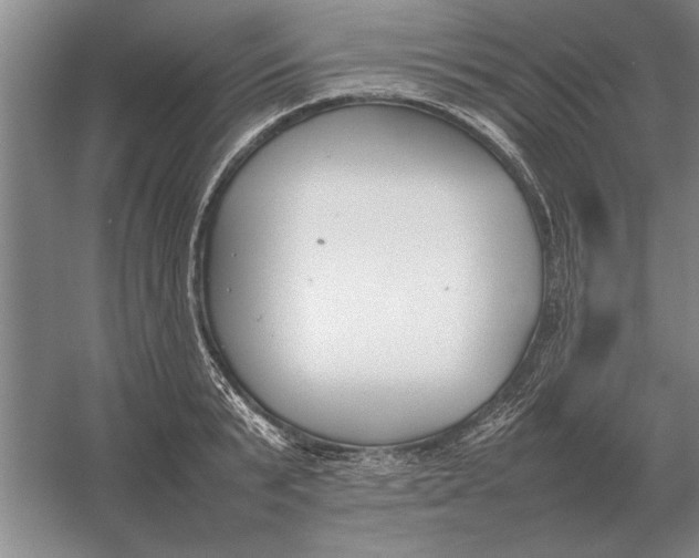 X0000054430799200508192122