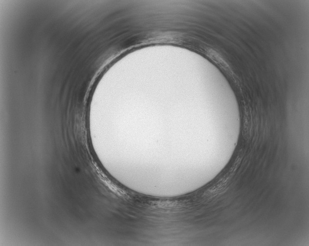 X0000054430800200508192122