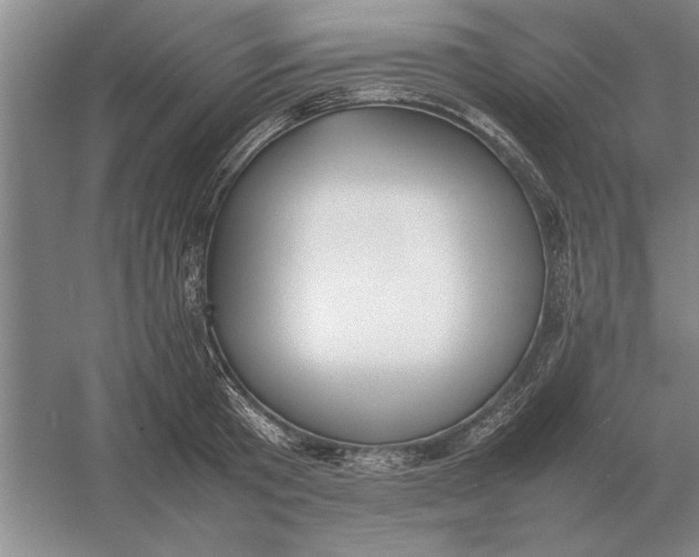 X0000054430801200508192122