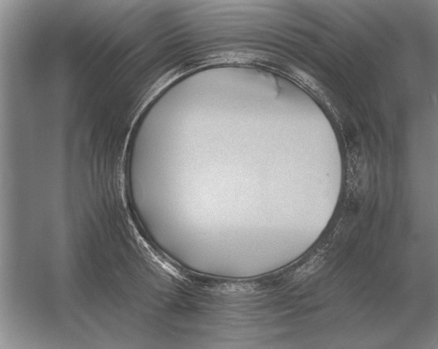 X0000054430802200508192122