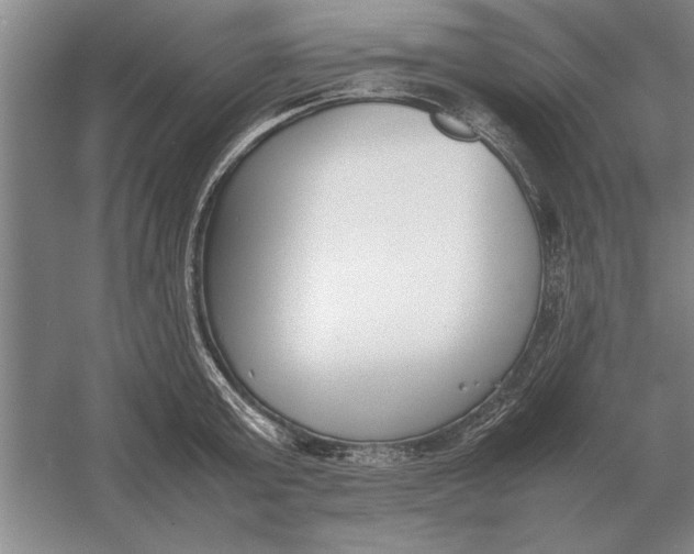 X0000054430803200508192122