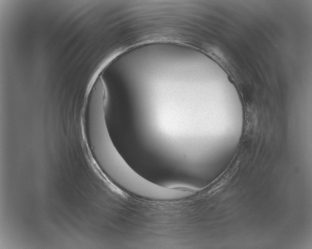 X0000054430812200508192122