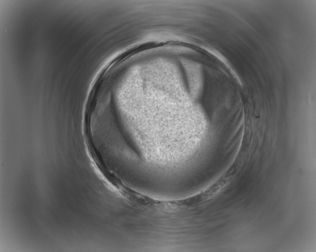 X0000054430815200508192122