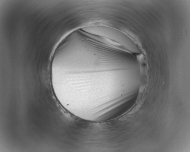 X0000054430816200508192122