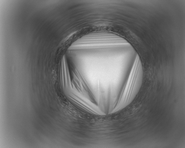 X0000054430821200508192121