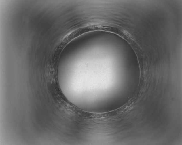 X0000054430822200508192121