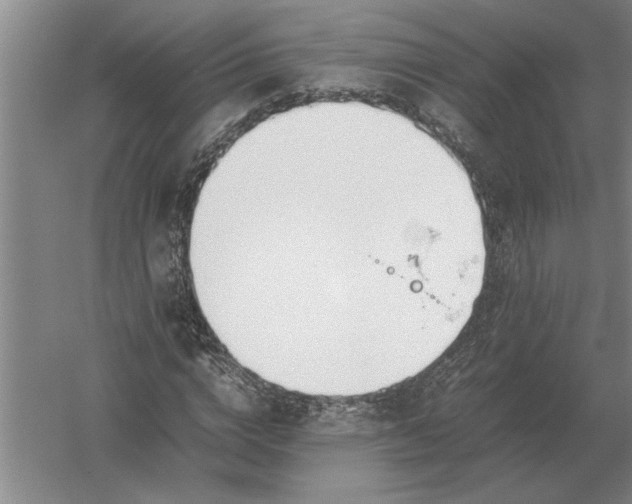 X0000054430824200508192121