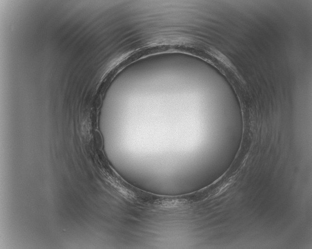 X0000054430826200508192121