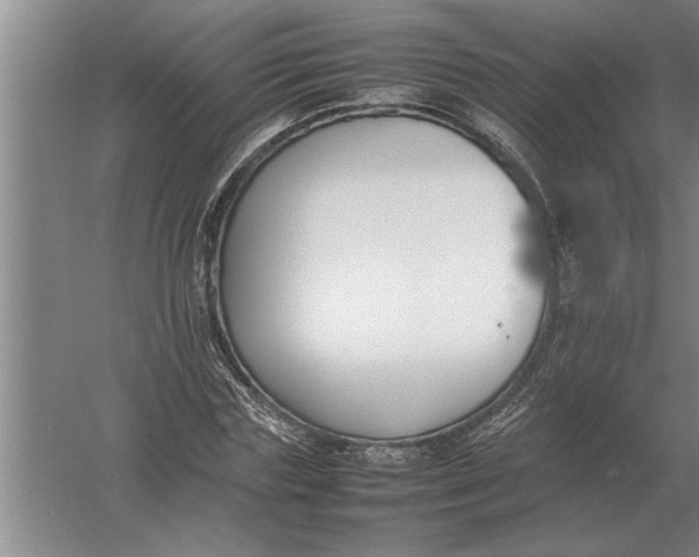 X0000054430827200508192121