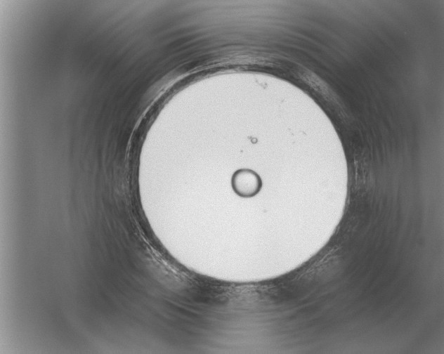 X0000054430828200508192121