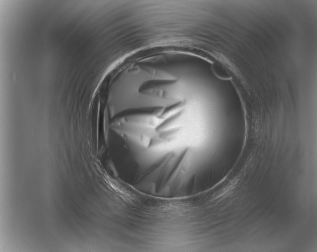 X0000054430830200508192121