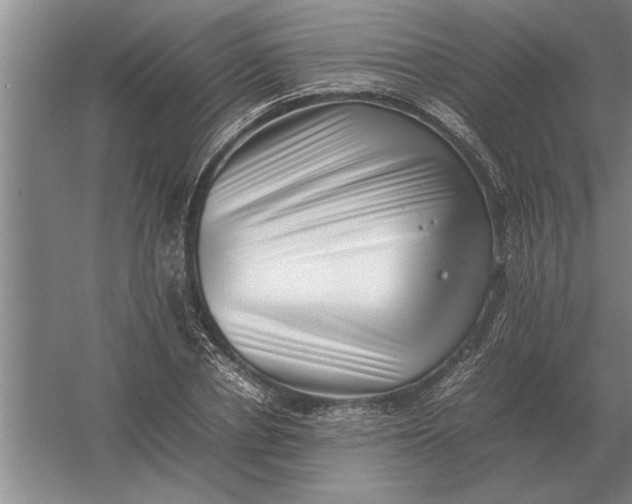 X0000054430834200508192121