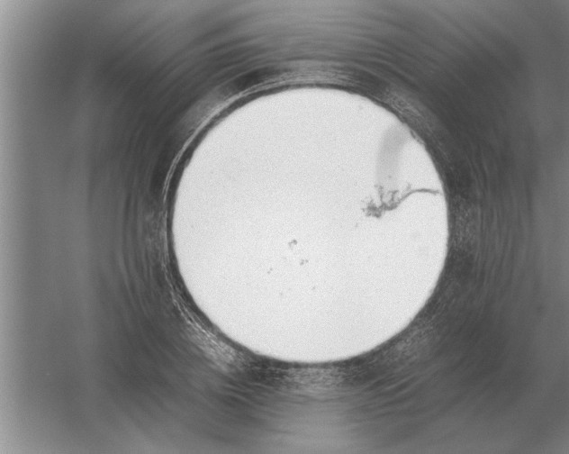 X0000054430836200508192121