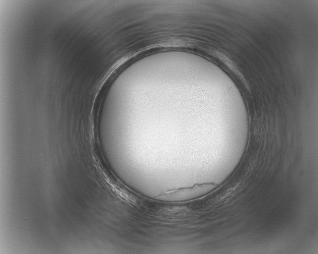 X0000054430837200508192121