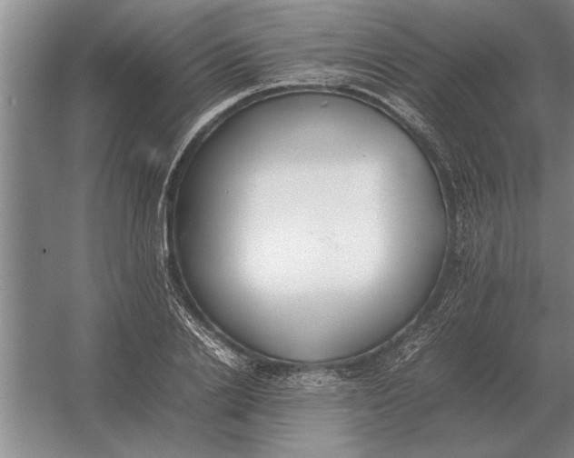 X0000054430838200508192121