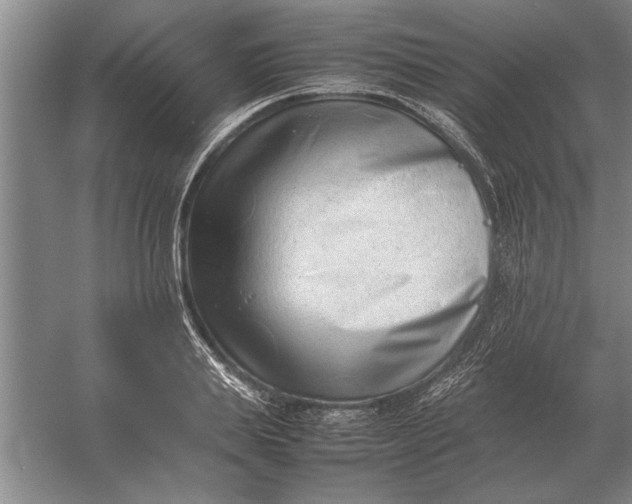 X0000054430839200508192121