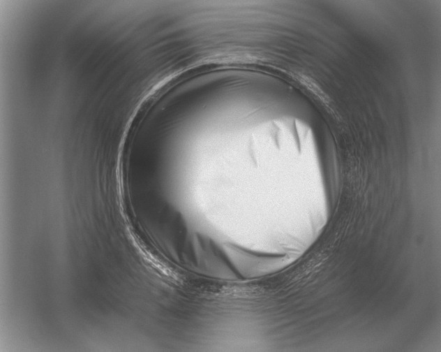 X0000054430840200508192121