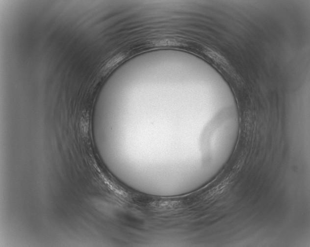 X0000054430841200508192121