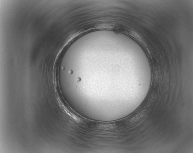 X0000054430843200508192121