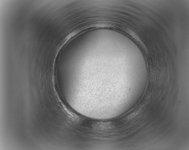 X0000054430845200508192121