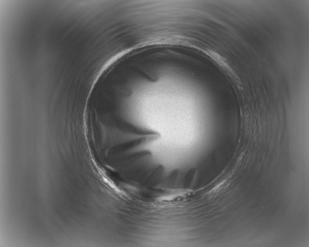 X0000054430846200508192121