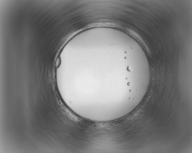 X0000054430852200508192122