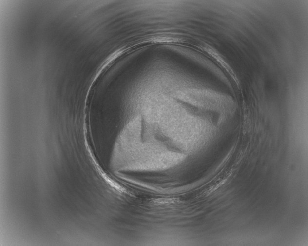 X0000054430853200508192122