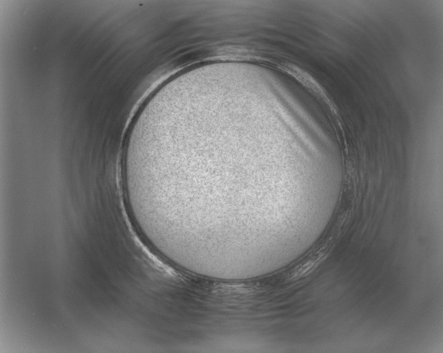 X0000054430855200508192122