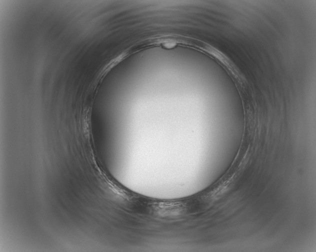 X0000054430857200508192122