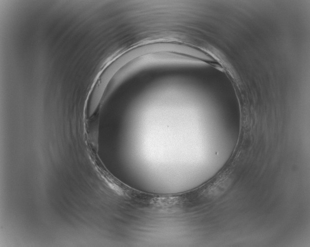 X0000054430858200508192122