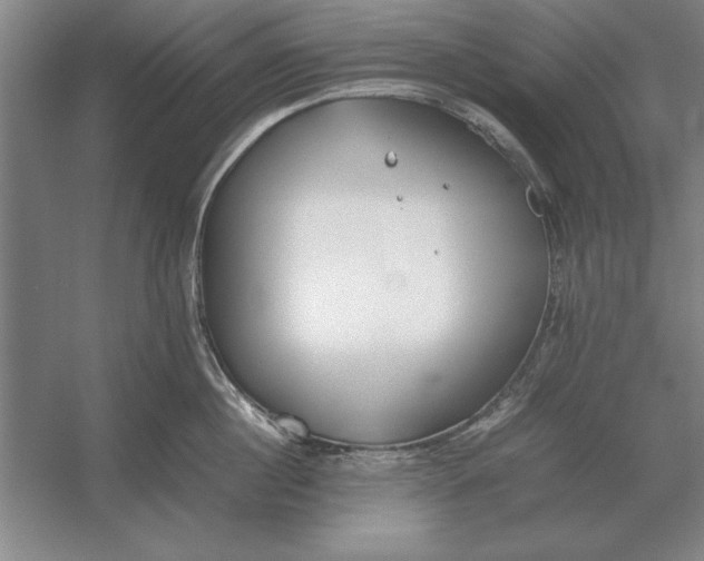 X0000054430860200508192122