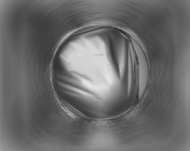 X0000054430862200508192122